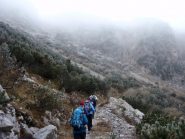la nebbia agli irti colli...