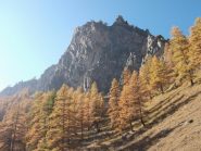 vallone selvaggio