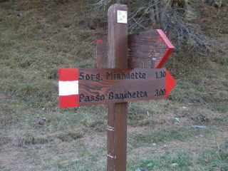l'inizio del sentiero di salita
