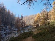 vallone Miandette