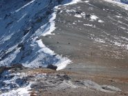 camosci al passo della Banchetta