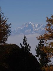 uno sguardo sul Bianco