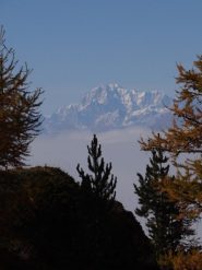 uno sguardo sul Bianco