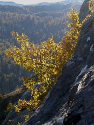 autunno in parete