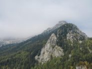 Bec di Roci Ruta - in alto i pini resi bianchi dalla brina