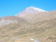 Piz Nair dall'imbocco della V. Suvretta