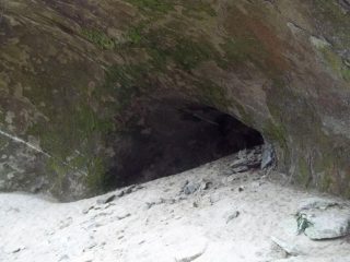 Tana di triceratopo