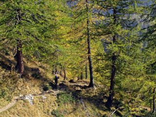 Quasi arrivati al pian della Mussa