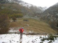 Alpe Attia