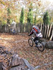 ancora alla Bellagarda