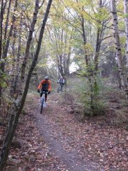 splendido single-track nel bosco