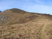 in vista della punta