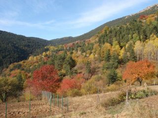 colori autunnali