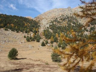 Punte de la Corne de Buc