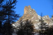 dietro gli alberi spunta il Gran Adritto (30-10-2011)
