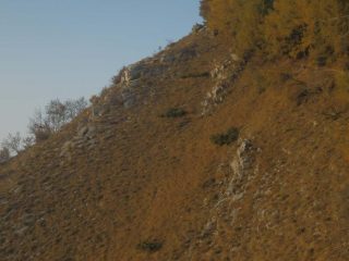 percorso fuori sentiero, tenersi al disotto degli alberi puntando al masso con ometto