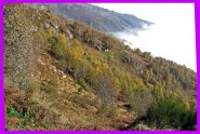 Sono arrivati i colori dell'autunno