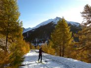 colori d'autunno