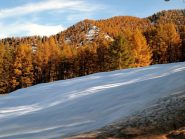 La meravigliosa radura a quota 1800mt