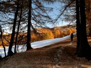 poco prima delle Grange Ussiera