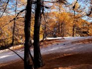 magia della Val Maira