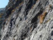 Gente su ''Calmati un attimo''