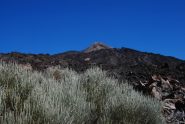 Il Teide dal sentiero 23