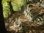 mulattiera nel bosco