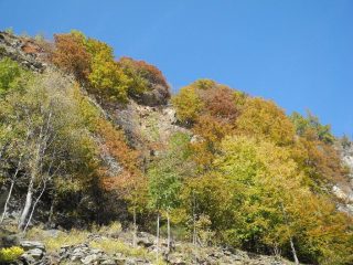 la faggeta