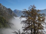 arriva la nebbia