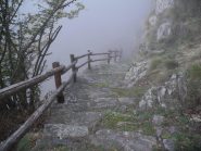 si entra nella nebbia