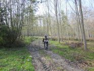 pedalando tra boschi e campi
