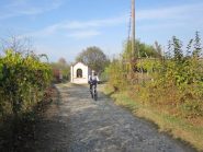 tra i vigneti dell'Erbaluce