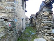 Il sentiero attraversa l'alpe Basseno