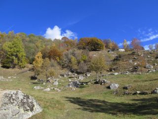 Colori a Rivotti