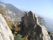 vetta del dente centrale