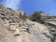 dente occidentale e centrale