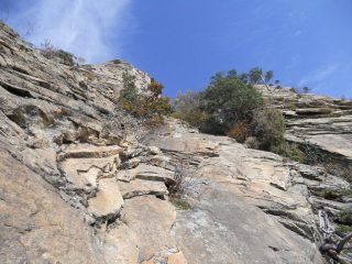 dente occidentale e centrale