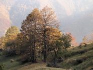 Al ritorno, poco sopra Flizzo