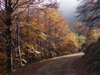 quando anche una poderale affascina