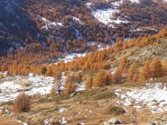 04 - il bosco autunnale