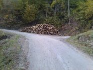 lasciare l'auto qui