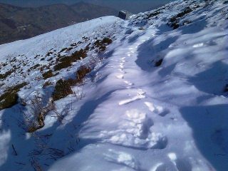 tornando al bivacco...
