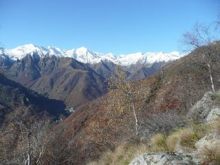 Verso valle Cervo