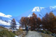 Avvicinamento all'area sciabile