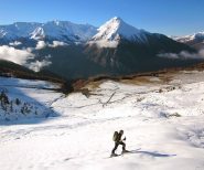 Snowdrops sale.. colori surreali!