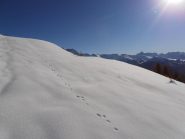 03 - dove osano le lepri