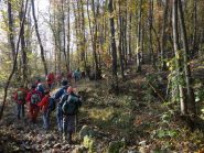 risalendo i boschi di Lessolo