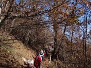 attraverso i castagneti di Brosso