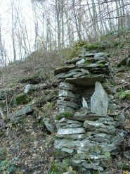 Nel bosco al ritorno